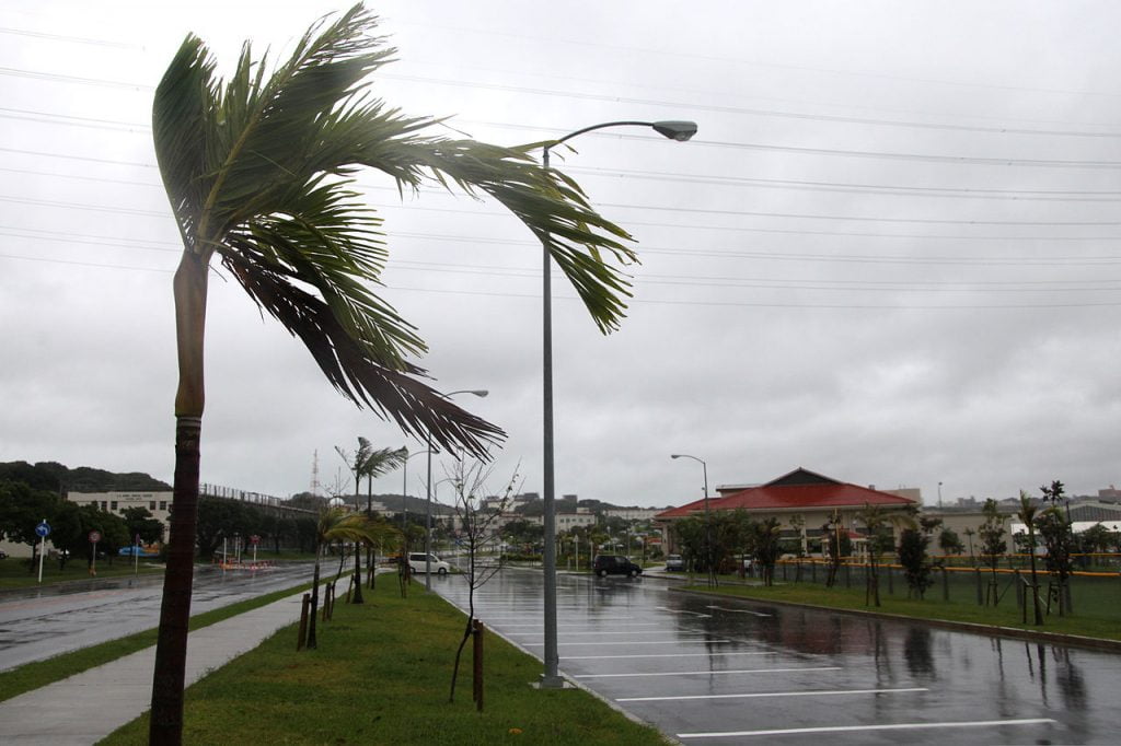 The wind whips through palm trees as Typhoon Chaba blows ashore at U.S. Marine Corps Base Smedley D. Butler Okinawa Japan Oct. 28 2010 101028 M VG363 103