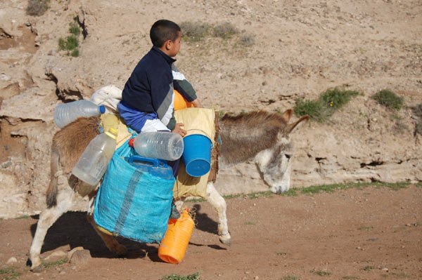 العطش والجفاف يخيم على تيسة