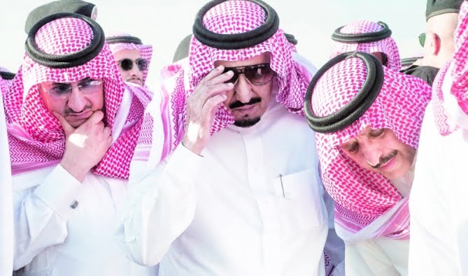 1 51 669x395 1