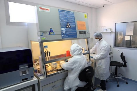 institut pasteur analyses3 578302563