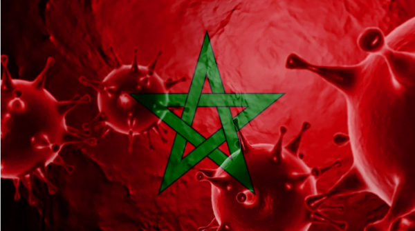 9ayd 546404287