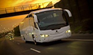 bus