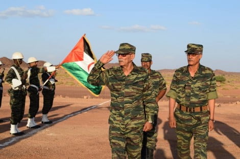 polisario 10 293786451