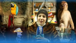 مغارة هرقل بطنجة كما لم تراها من قبل في زمن كورونا 1 9da236de fc19 48e7 b884 e7fae6e70f40