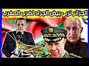 الال