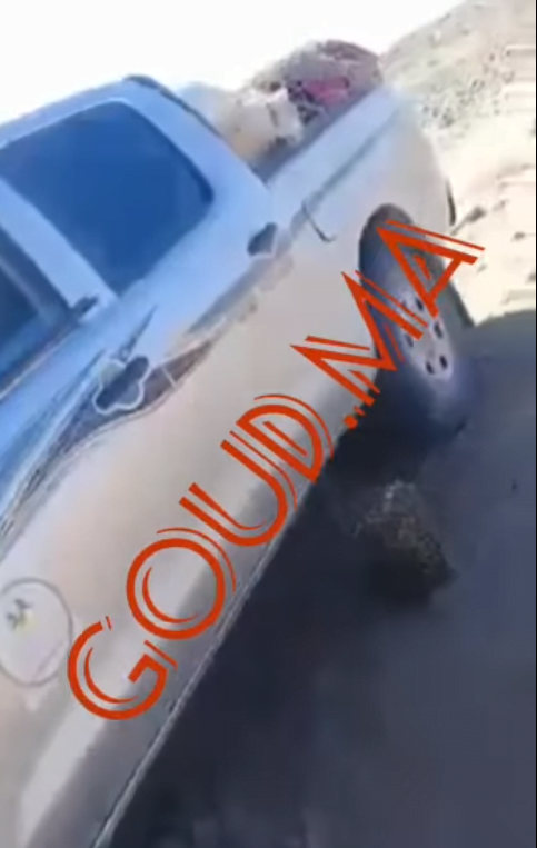 فل