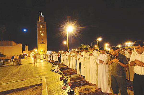 tarawi7 710211550
