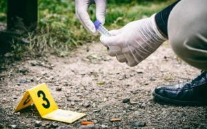 feature csi