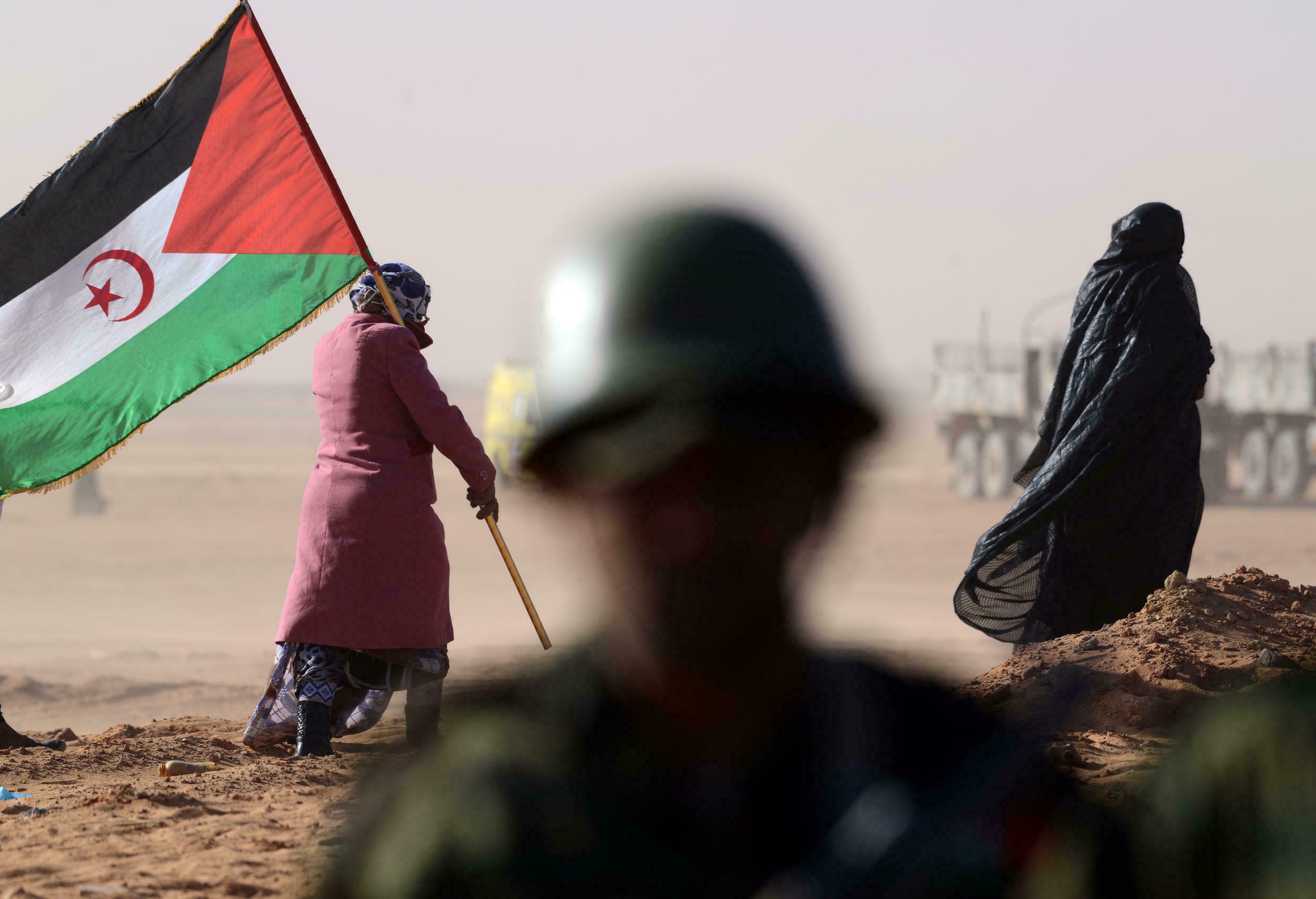 polisario front flag