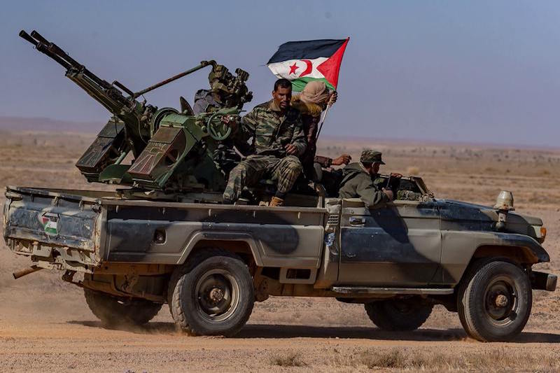 polisario 1