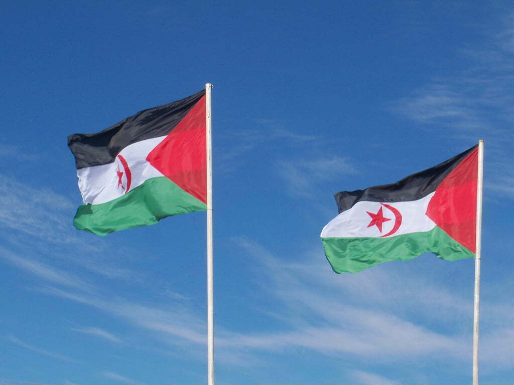 Banderas Saharauis 1