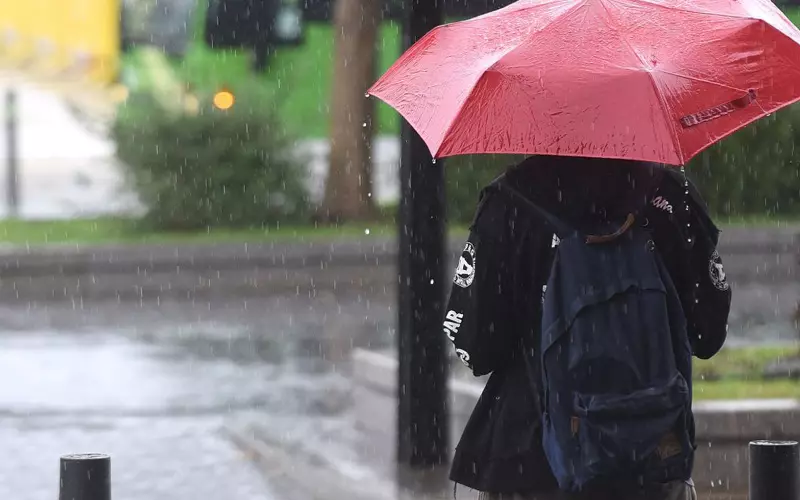 مقاييس الأمطار المسلجة خلال 24