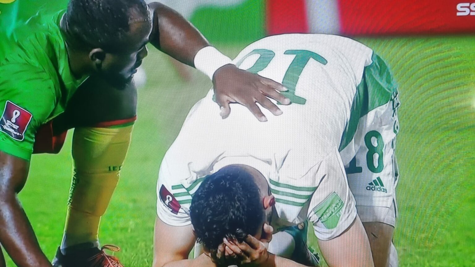 نهاية خزينة للاعبي المنتخب الجزائري