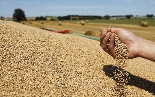 تقرير أمريكي يرصد ارتفاع واردات المغرب من الحبوب..