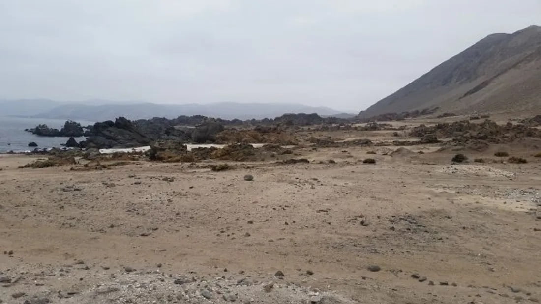 زلزال