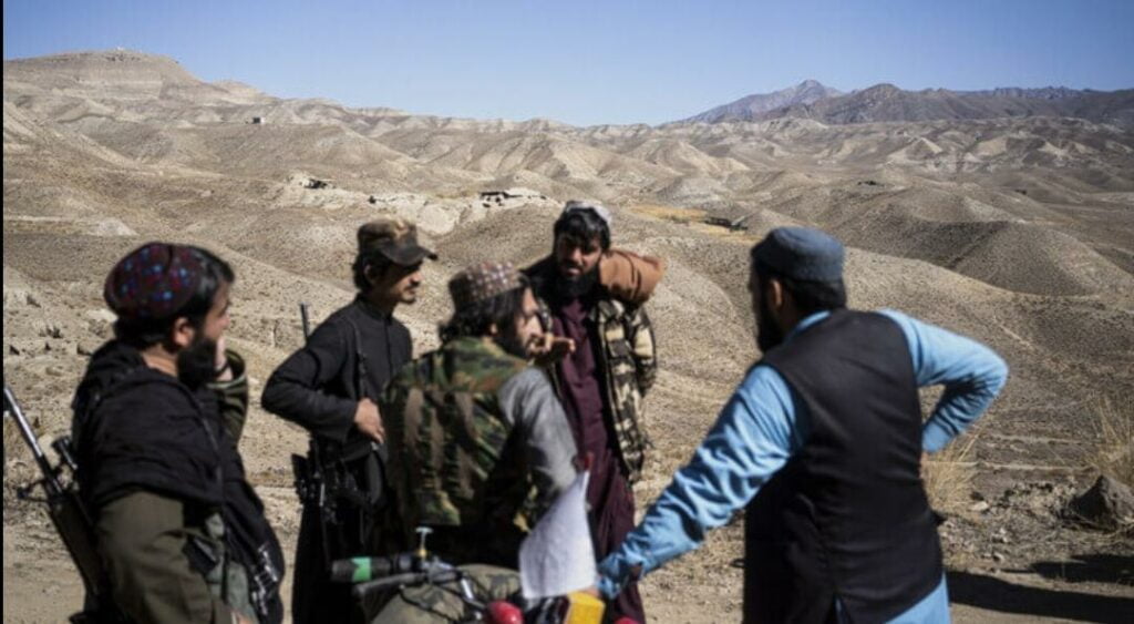 طالبان.. تحظر زراعة القنب والإتجار في كافة أنواع المخدرات بجميع أنحاء أفغانستان