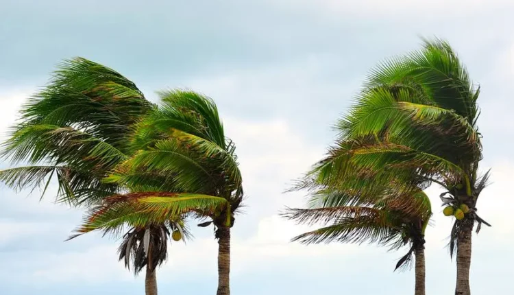 طقس المغرب.. مديرية الأرصاد تتوقع عودة الأمطار والثلوج لعدد من المناطق يوم غد الأربعاء