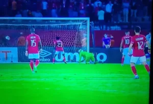 الأهلي المصري يبهدل وفاق سطيف الجزائري