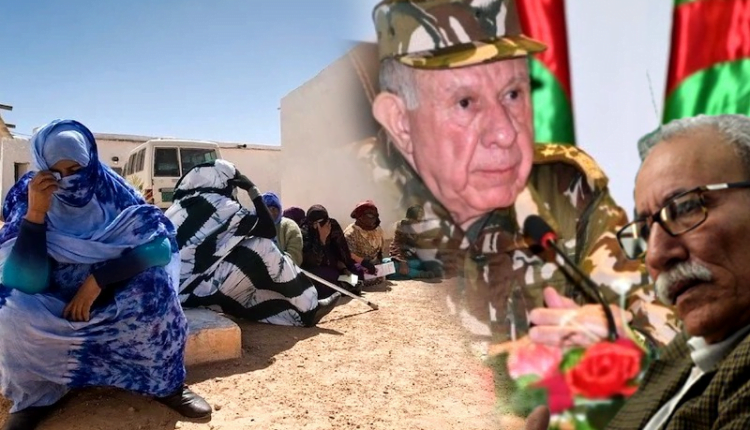 الأمم المتحدة تٌوجِّه ضربة جديدة للبوليساريو وعَرَّابَتُها الجزائر