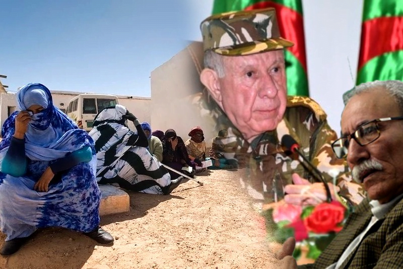 الأمم المتحدة تٌوجِّه ضربة جديدة للبوليساريو وعَرَّابَتُها الجزائر