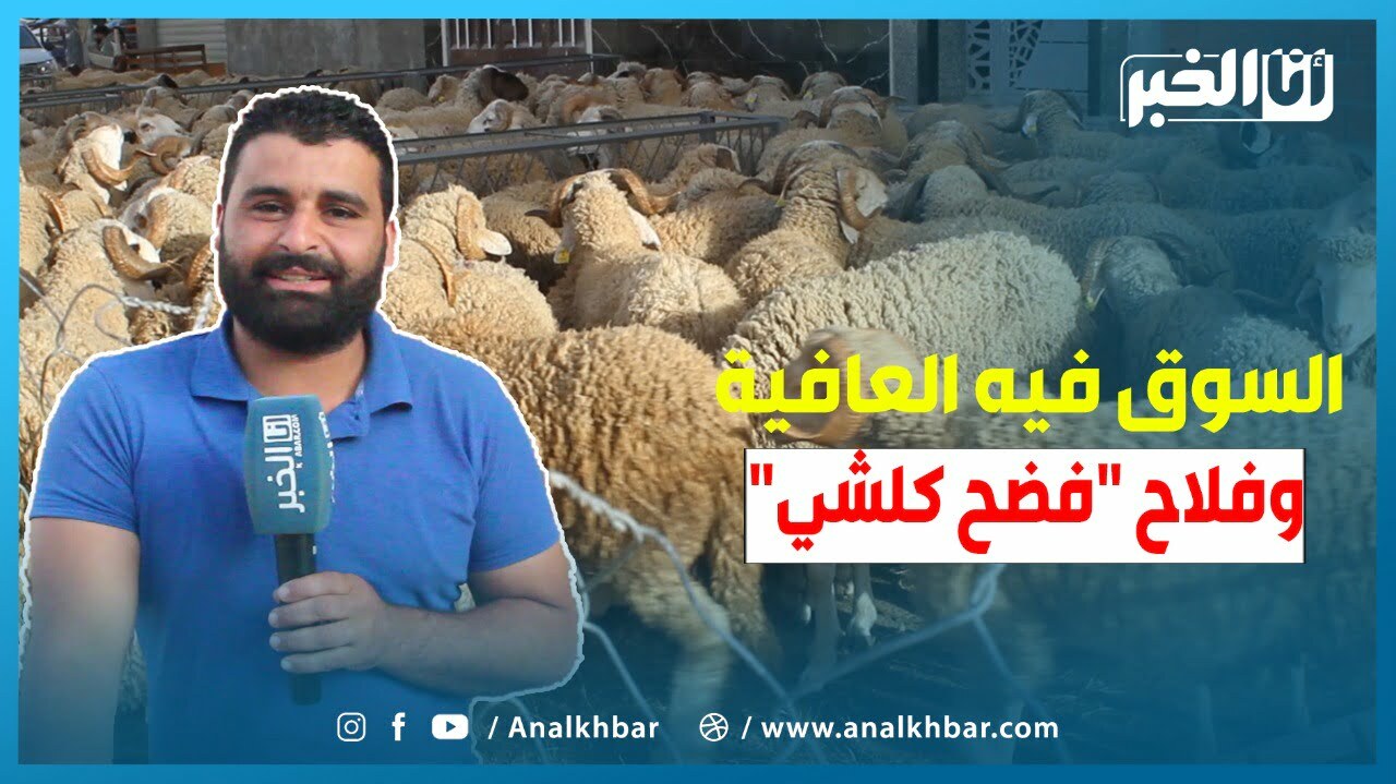 السوق فيه العافية وفلاح فضح كلشي ولينا نحشمو نهدرو مع الناس وها شحال الأثمنة