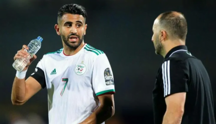 بالفيديو.. سقطة غبية لصحافية جزائرية بسبب محرز وعطلته بالمغرب وبلماضي يفحمها