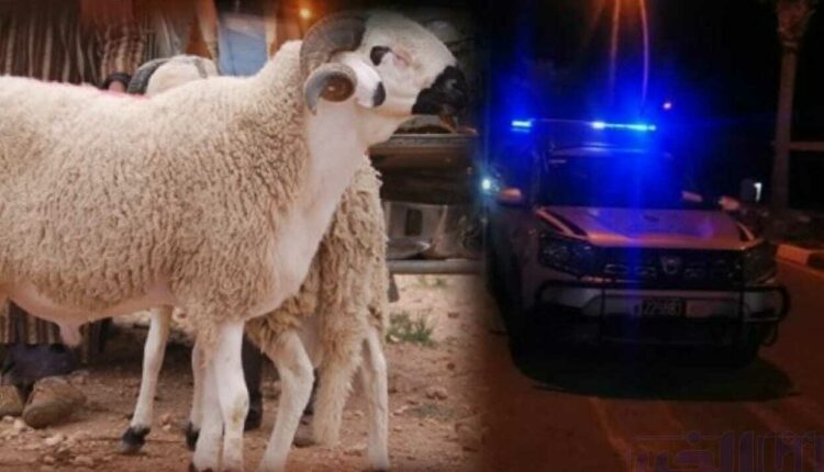حولي العيد يقتل امرأة متزوجة نواحي مراكش