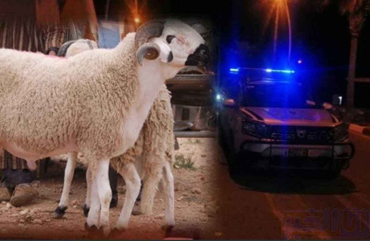 حولي العيد يقتل امرأة متزوجة نواحي مراكش