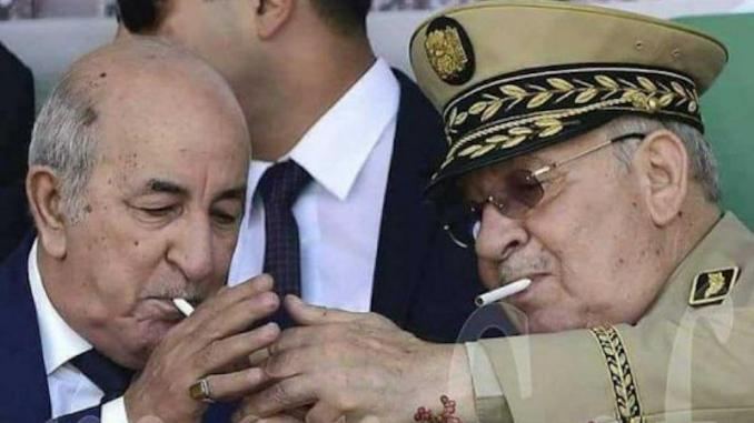 خصاص كبير في أكباش العيد بالجزائر وتبون يتجه لهذا القرار