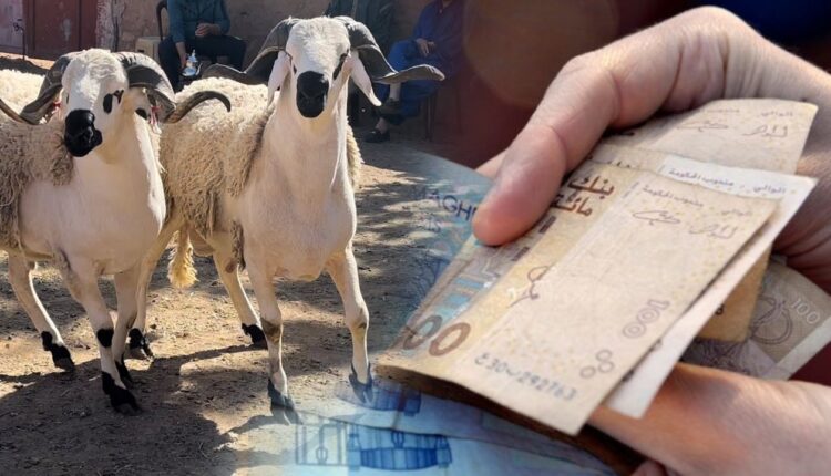 عيد الأضحى.. الأسعار ستكون الأعلى على الإطلاق ومصدر يكشف طريقة الرد