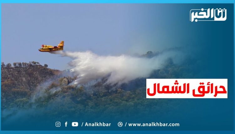 مشاهد من حرائق الغابات بشمال المملكة 