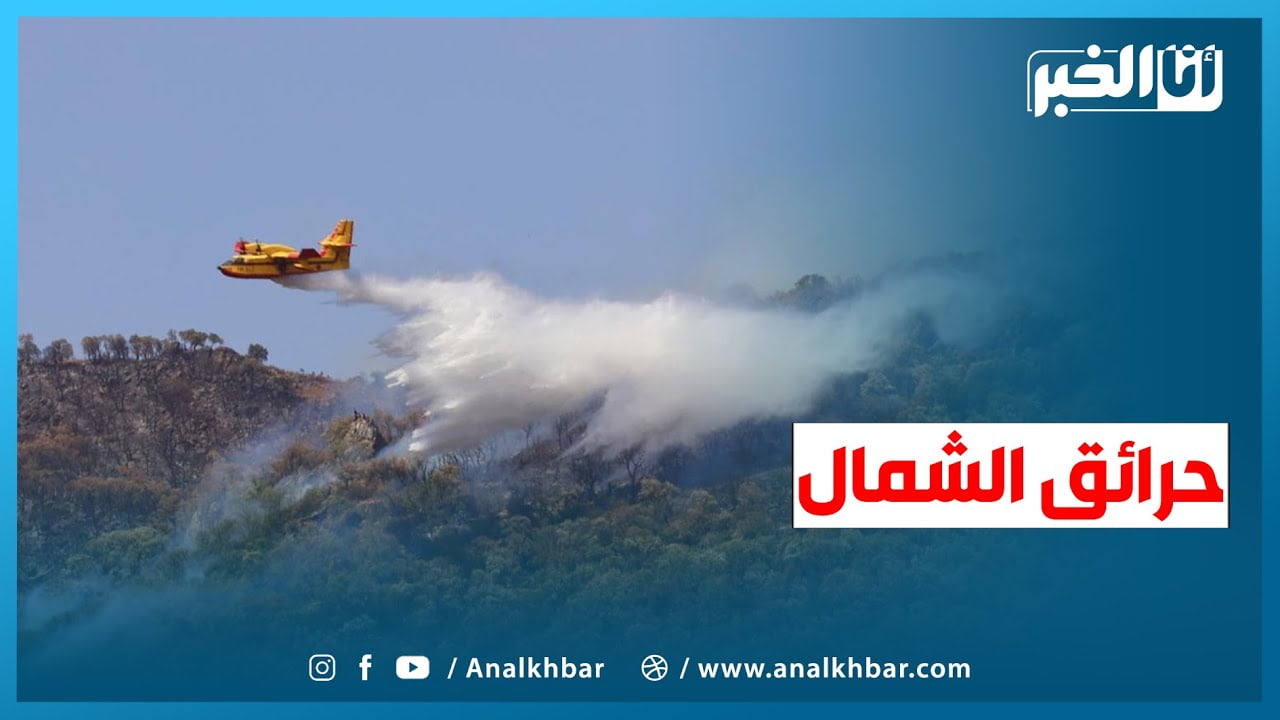 مشاهد من حرائق الغابات بشمال المملكة "جبل الحبيب"
