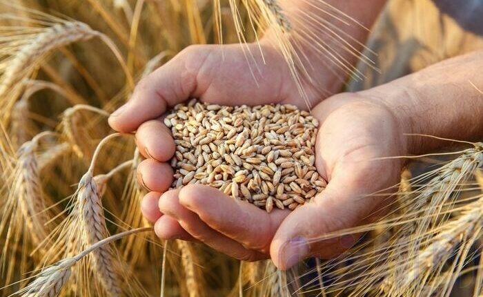 أسعار المواد الغذائية تتراجع عالميا وهذا ما تم الإعلان عنه