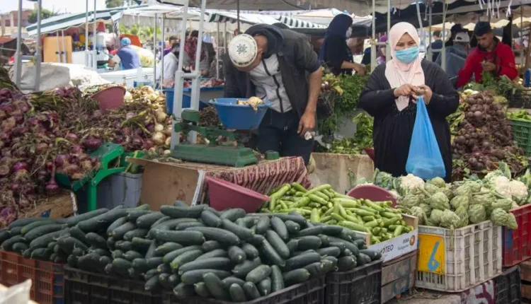 أسعار بيع الخضر والفواكه واللحوم والسمك بالتقسيط بحهات المملكة