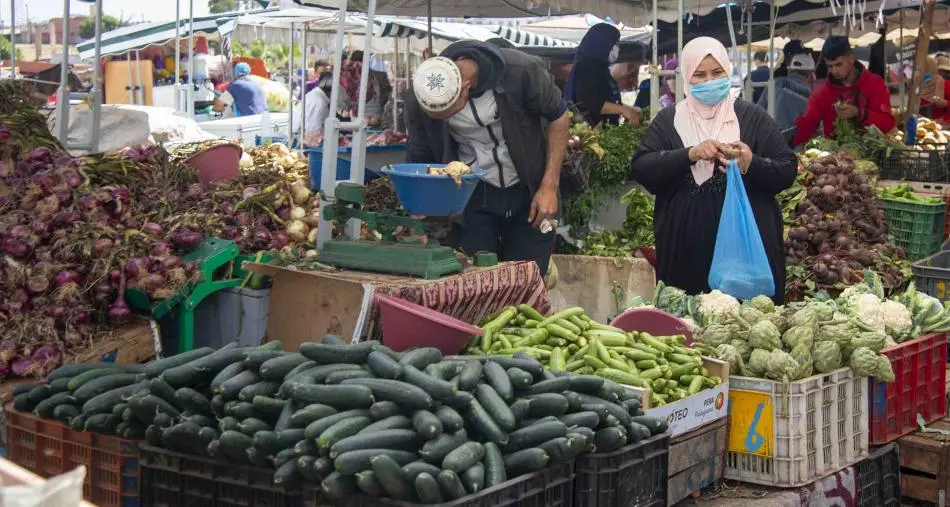 أسعار بيع الخضر والفواكه واللحوم والسمك بالتقسيط بحهات المملكة