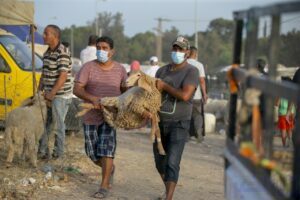 أول مدينة مغربية تعلن منع شيّ رؤوس الأضاحي بالأزقة والطرقات
