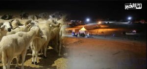 اختفاء أضاحي العيد بمدن الشمال ورجال الدرك الملكي ينزلون للأسواق (صور)