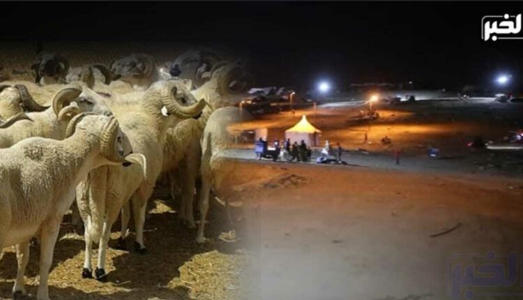 اختفاء أضاحي العيد بمدن الشمال ورجال الدرك الملكي ينزلون للأسواق (صور)
