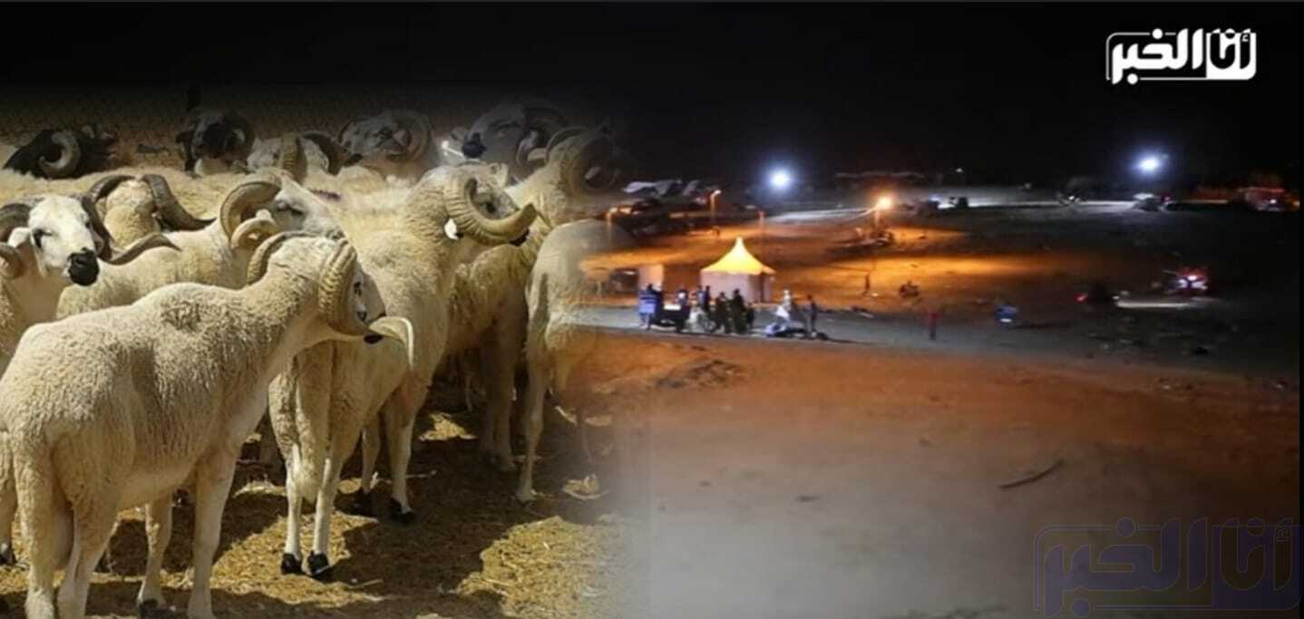 اختفاء أضاحي العيد بمدن الشمال ورجال الدرك الملكي ينزلون للأسواق (صور)