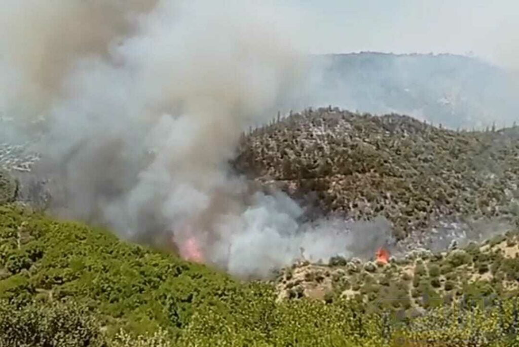 النيران تزداد خطورة بجبل "امزيز" نواحي زومي ونداء عاجل لإنقاذ الوضع (صور)
