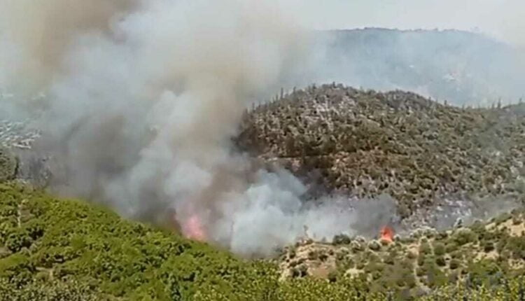 النيران تزداد خطورة بجبل "امزيز" نواحي زومي ونداء عاجل لإنقاذ الوضع (صور)