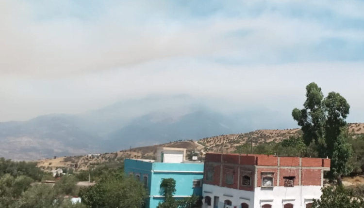 حريق جديد ومفاجئ يندلع بنواحي شفشاون