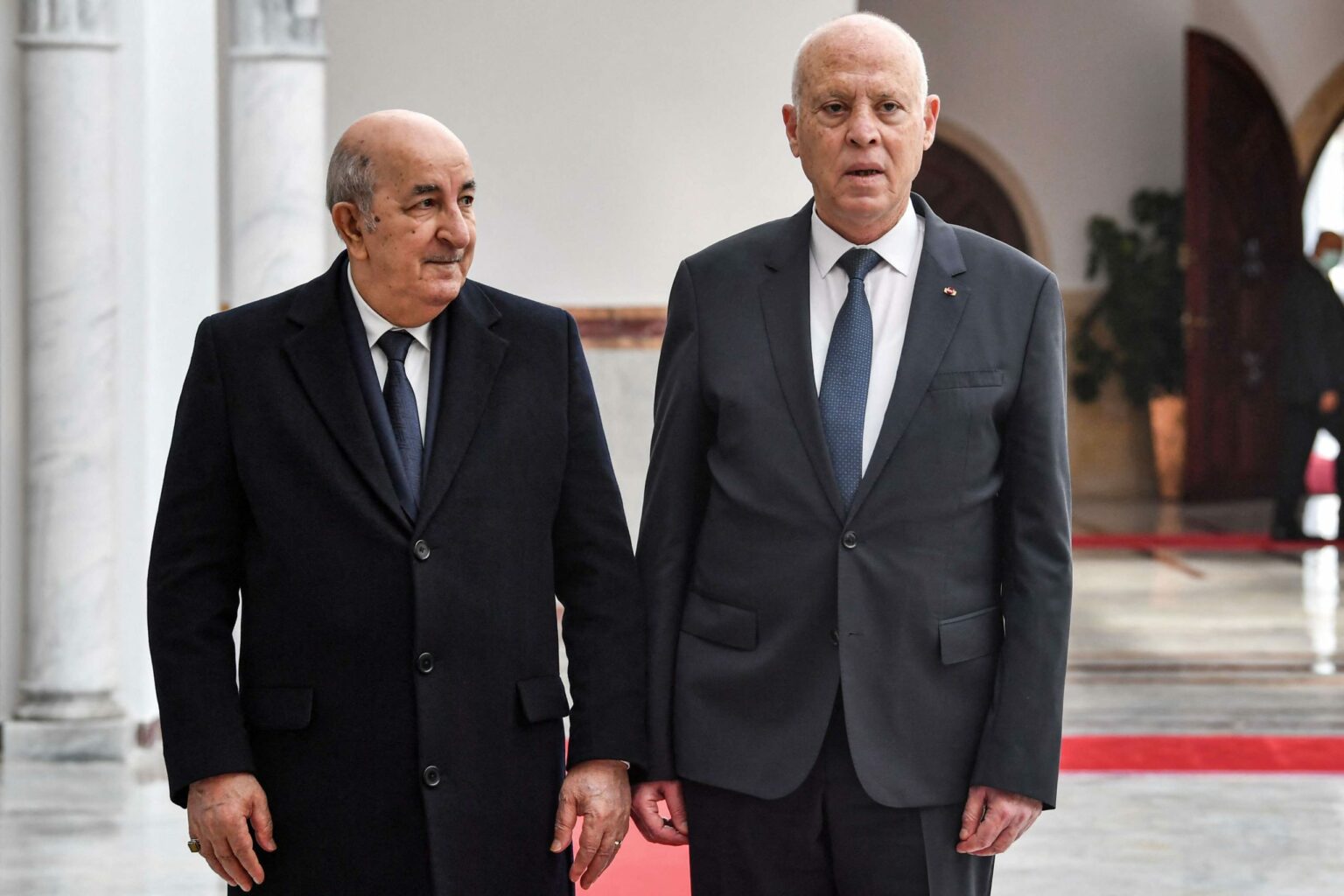 زلة لسان لخبير جزائري تكشف المستور بين الجزائر و تونس