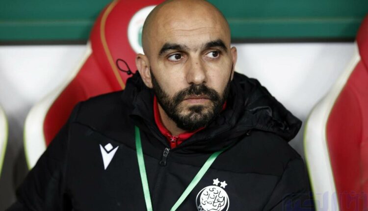 شبه مؤكد.. الركراكي مدربا للمنتخب الوطني المغربي
