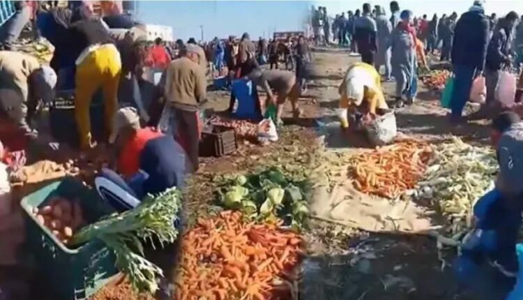 فوضى نهب مواد غذائية ومنقولات بالقوة في سوق القنيطرة.