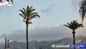 طقس المغرب غدا الأحد.. زخات مطرية ورعدية في هذه المناطق