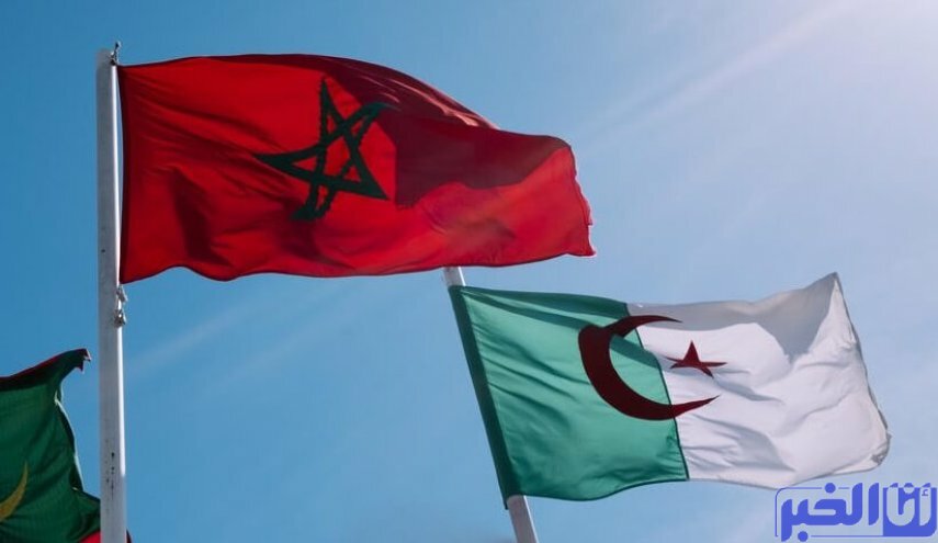 الاعتراف فضيلة...جزائريون يعترفون بتفوق التلفزيون المغربي