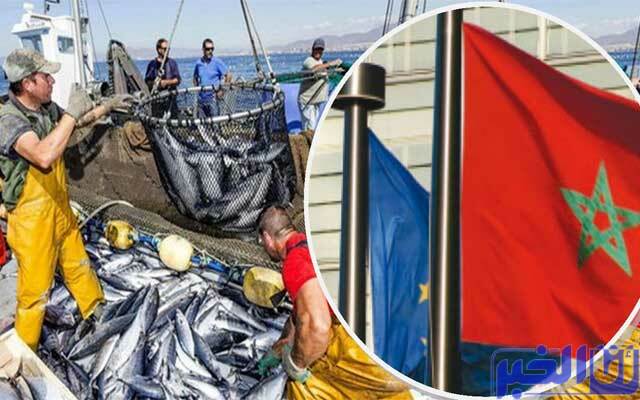 الصيد البحري ارتفاع الكميات المفرغة بنسبة 20 في المائة