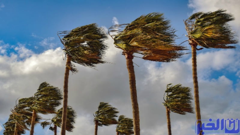 الطقس بالمغرب غدا الخميس.. زخات مطرية رعدية ورياح قوية في هذه المناطق