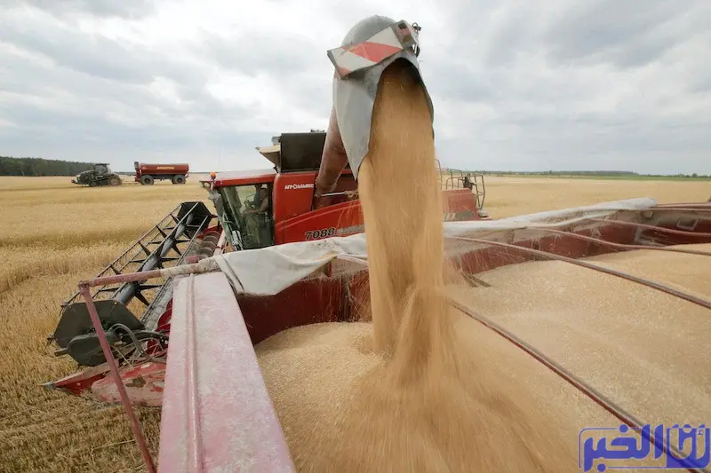 القمح الأوكراني في طريقه إلى دولة عربية على حافة المجاعة